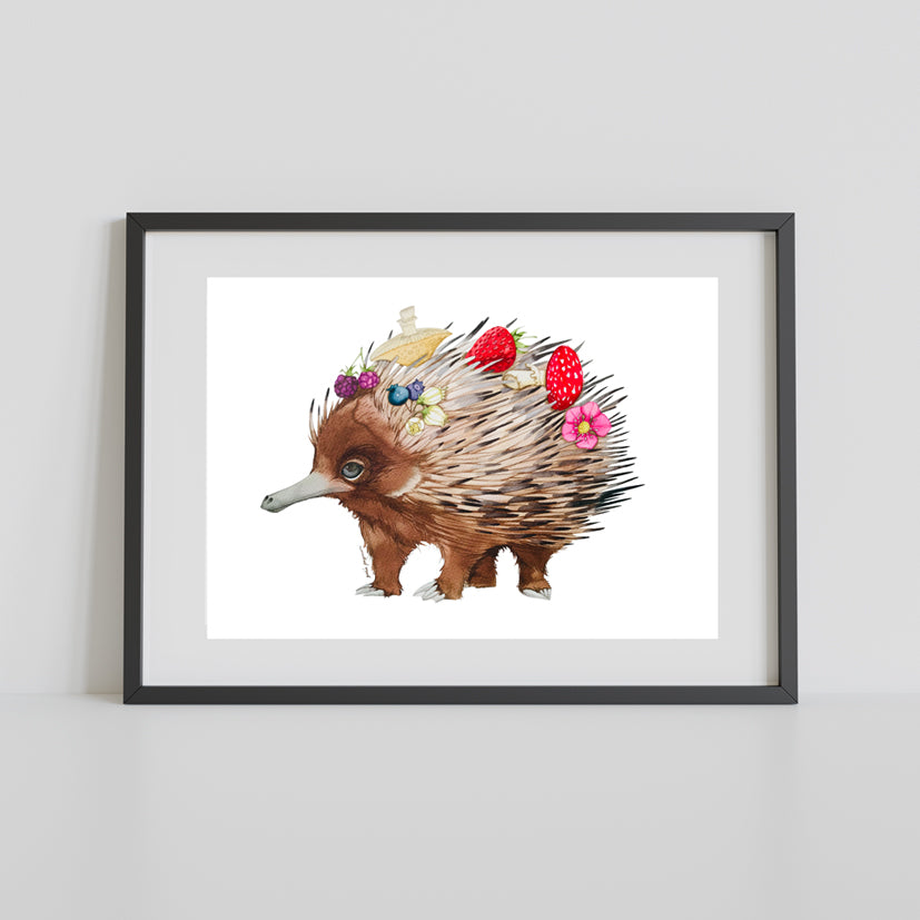 Ed the echidna watercolour print