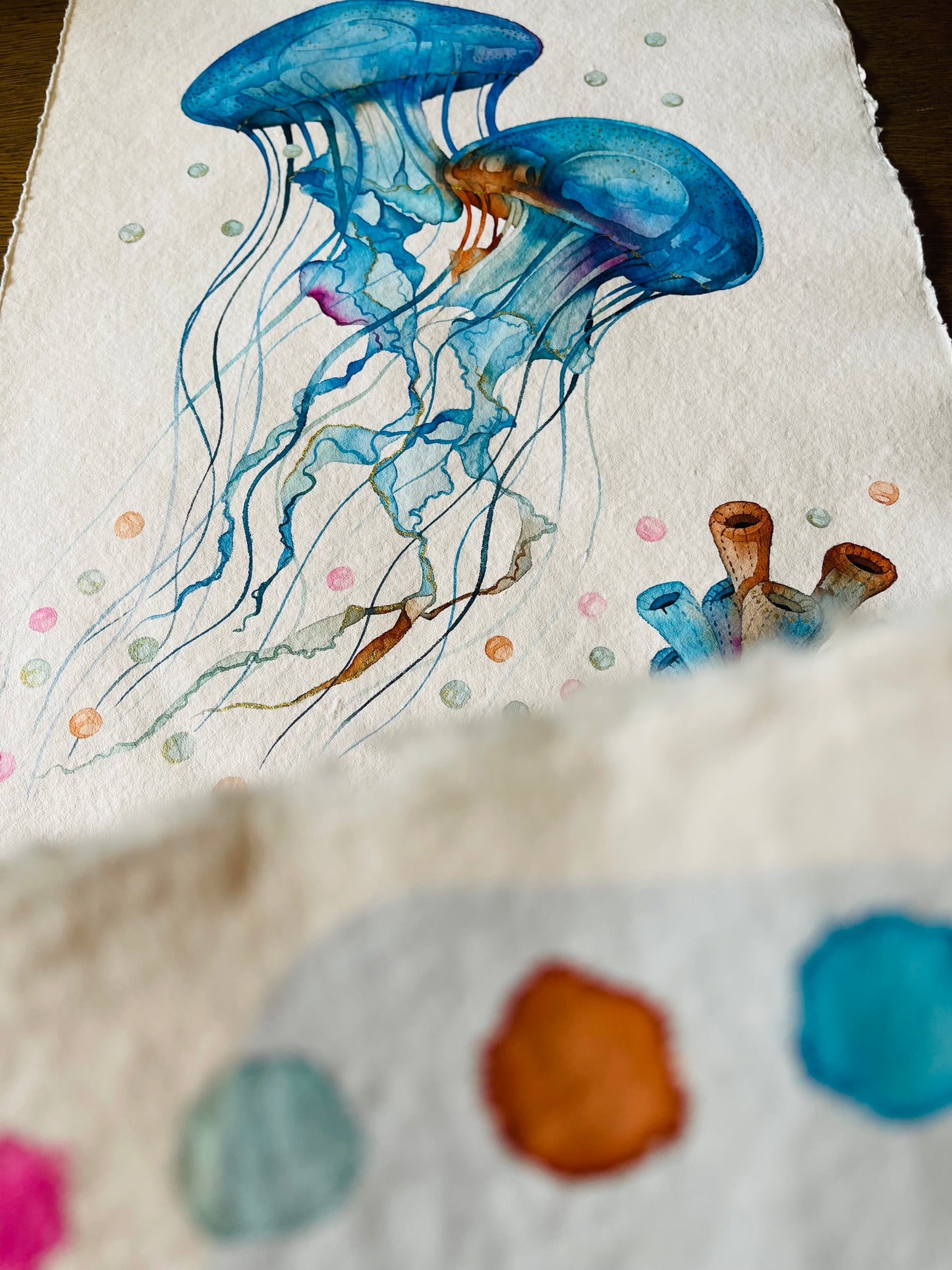Jellyfish