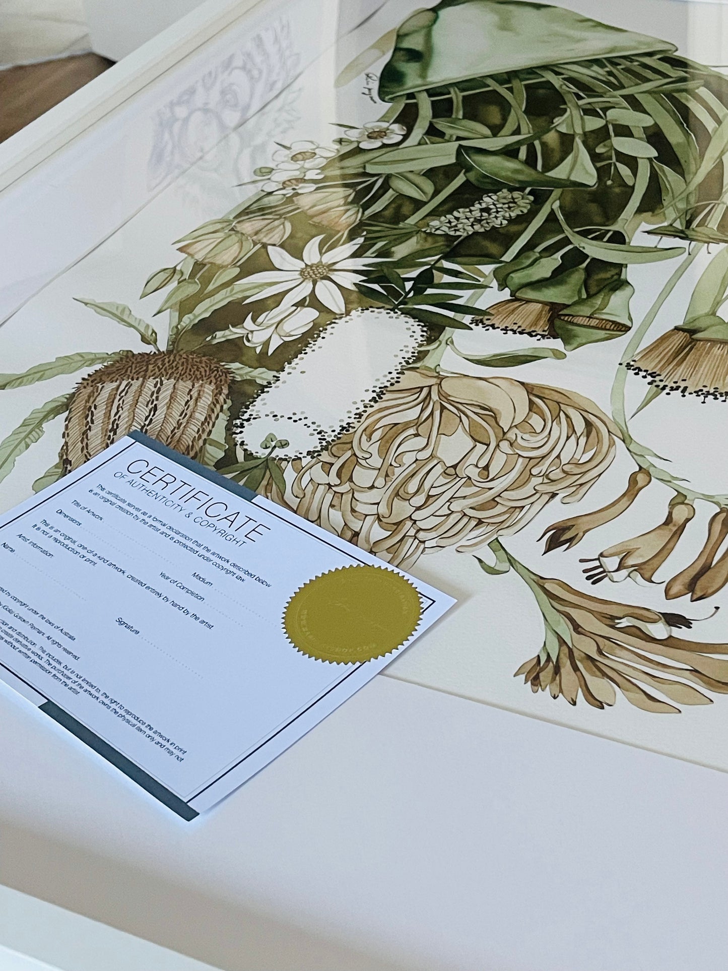 Aussie Botanical original watercolour illustration