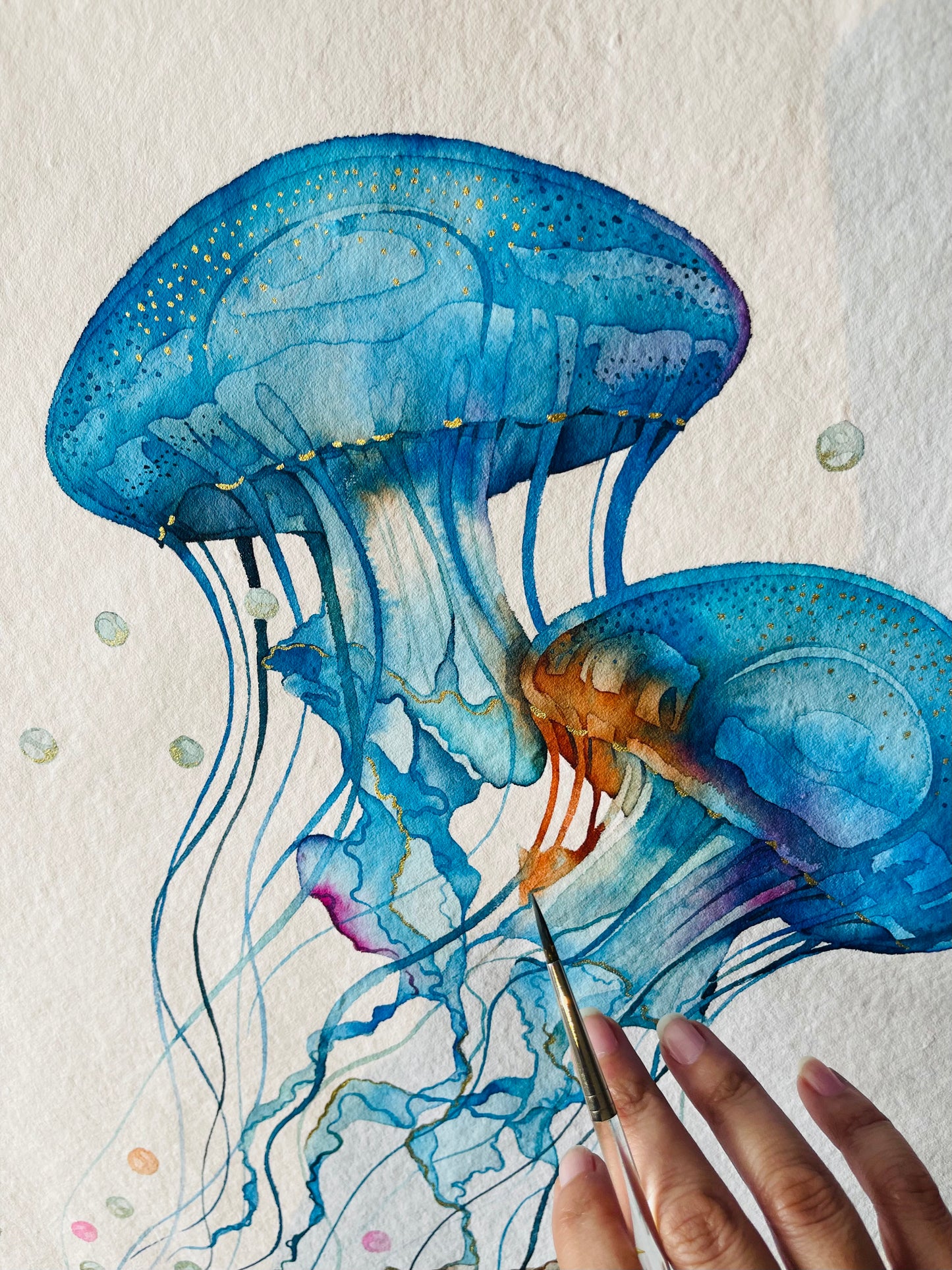 Jellyfish
