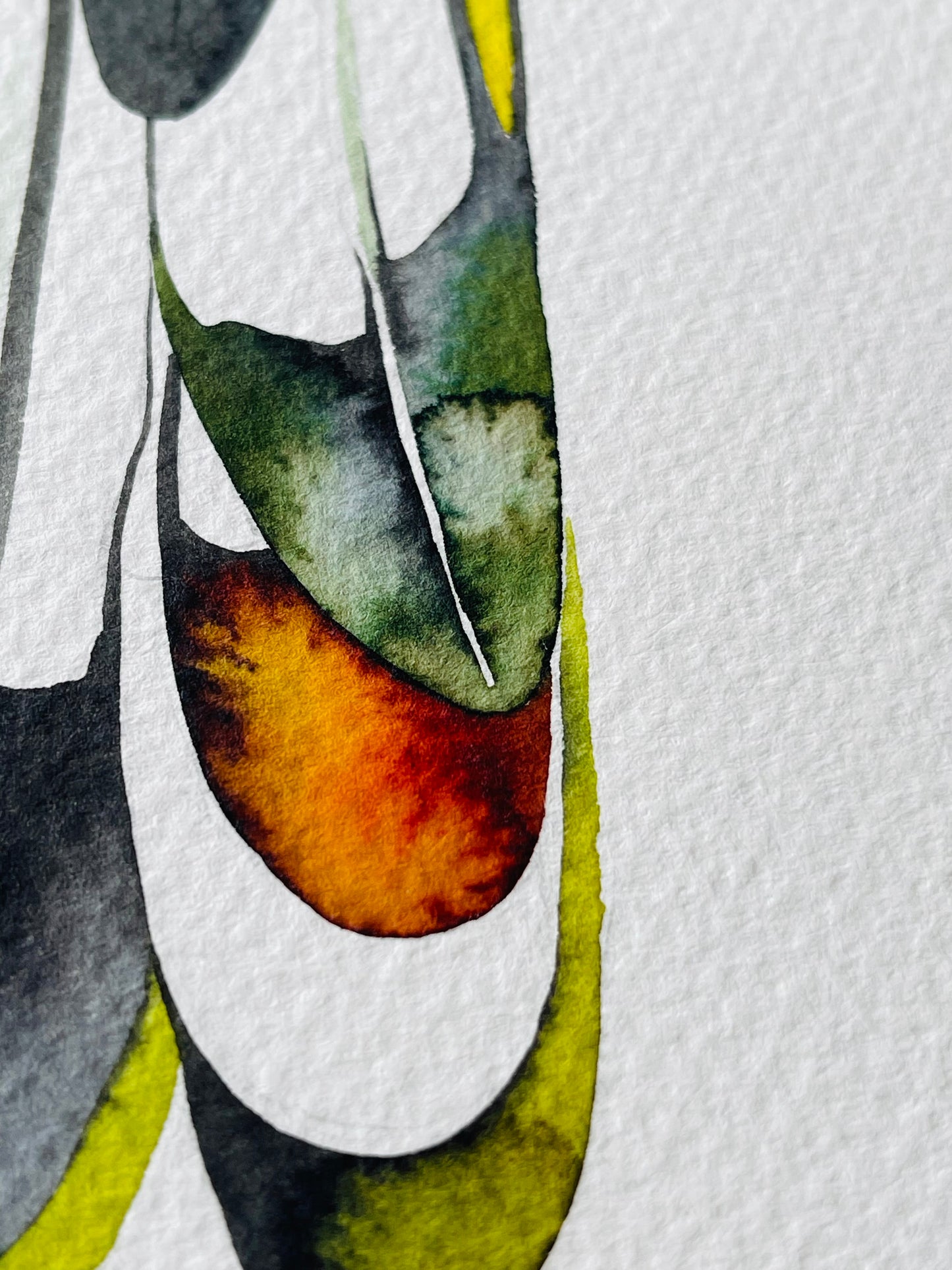 Rain makers watercolour illustration