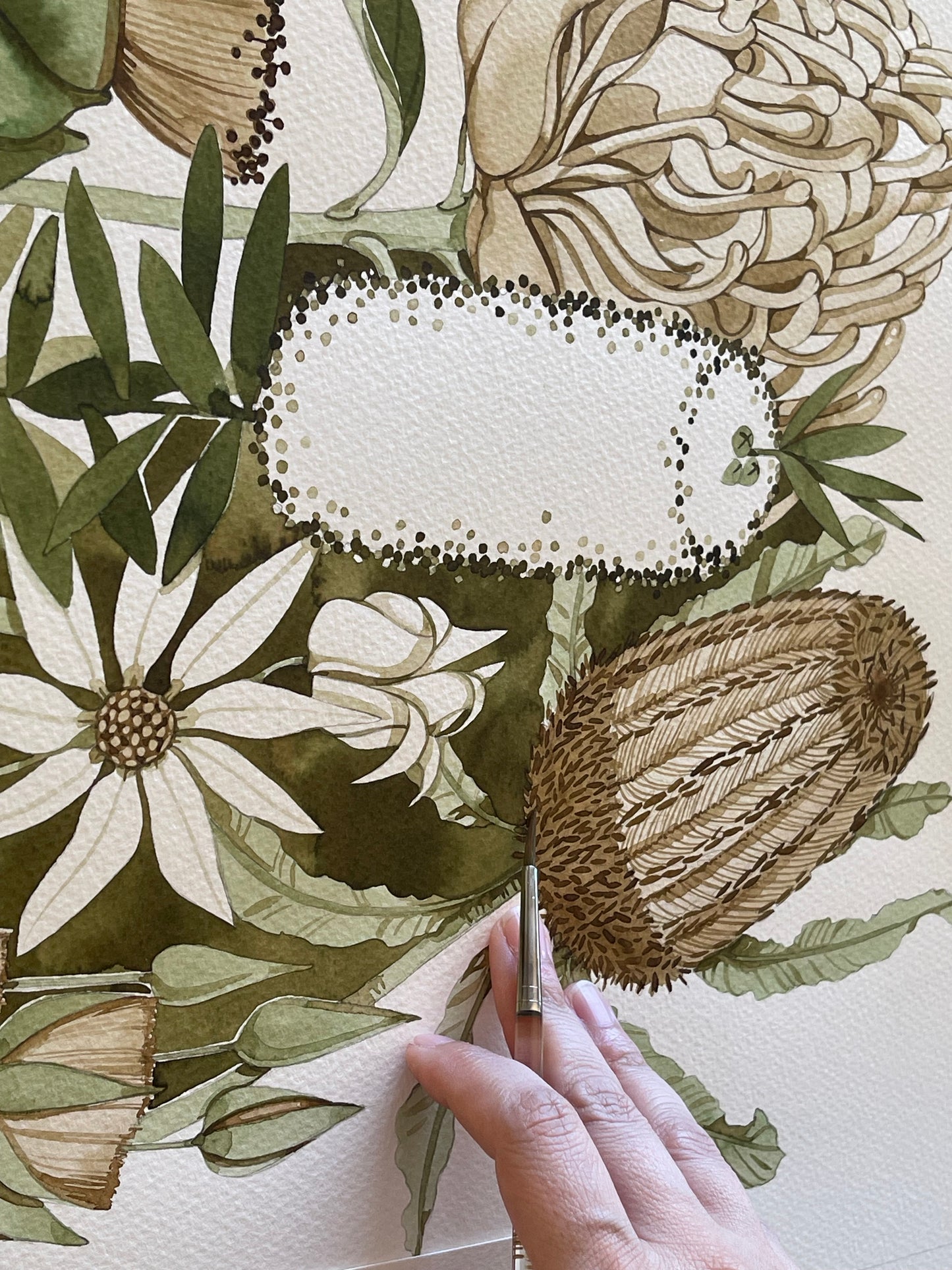 Aussie Botanical original watercolour illustration