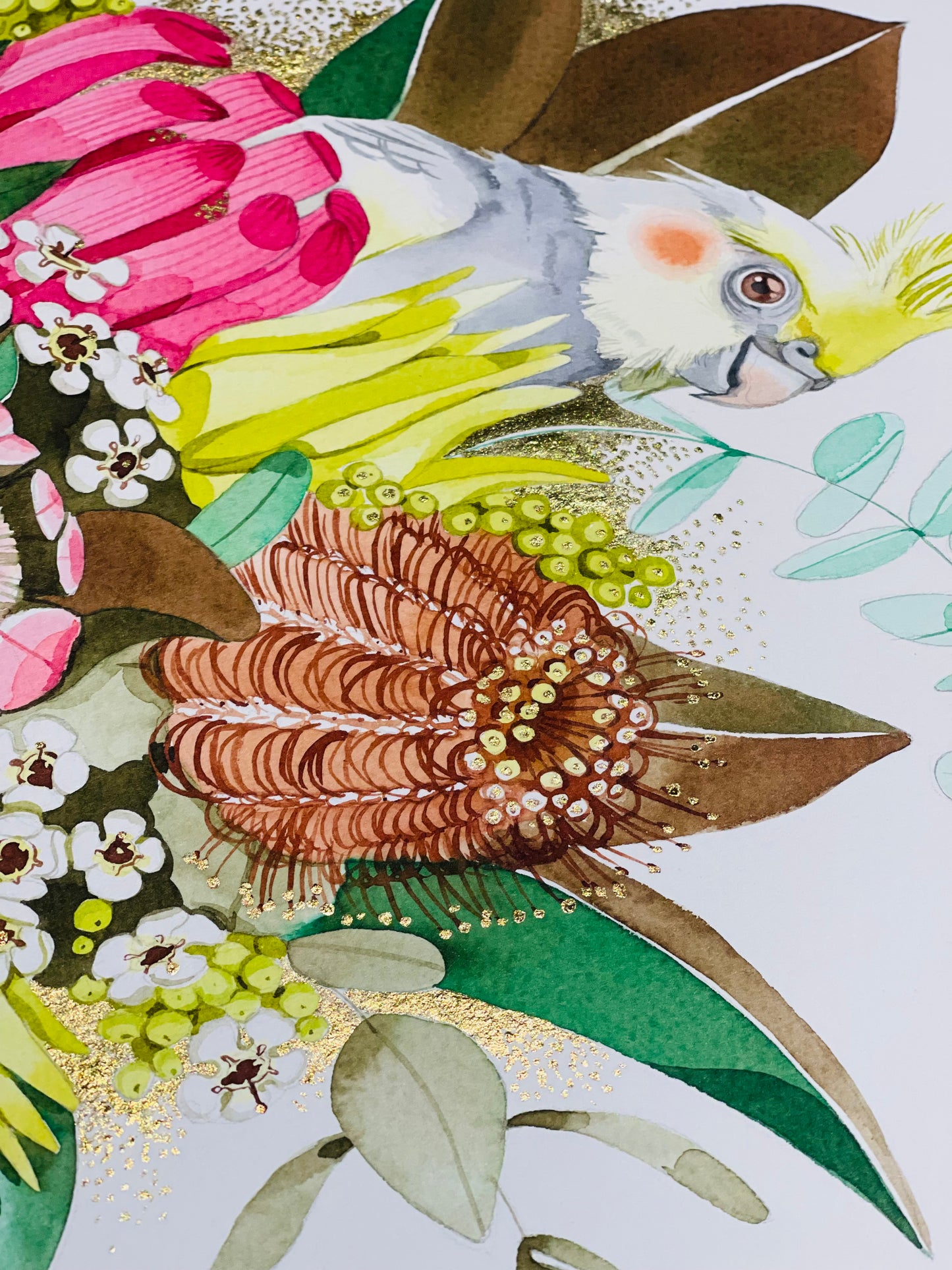 Milo and Weiro botanical watercolour illustration