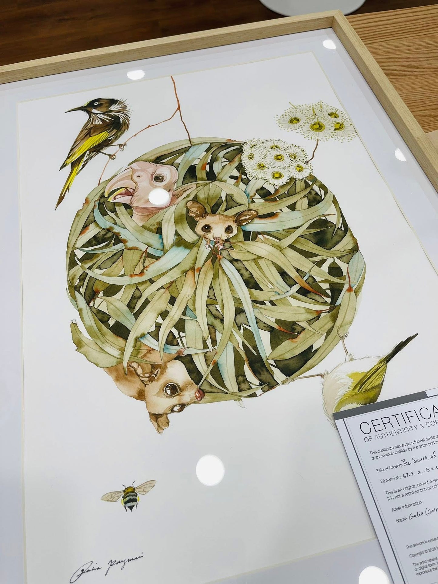 The secret of eucalyptus original illustration