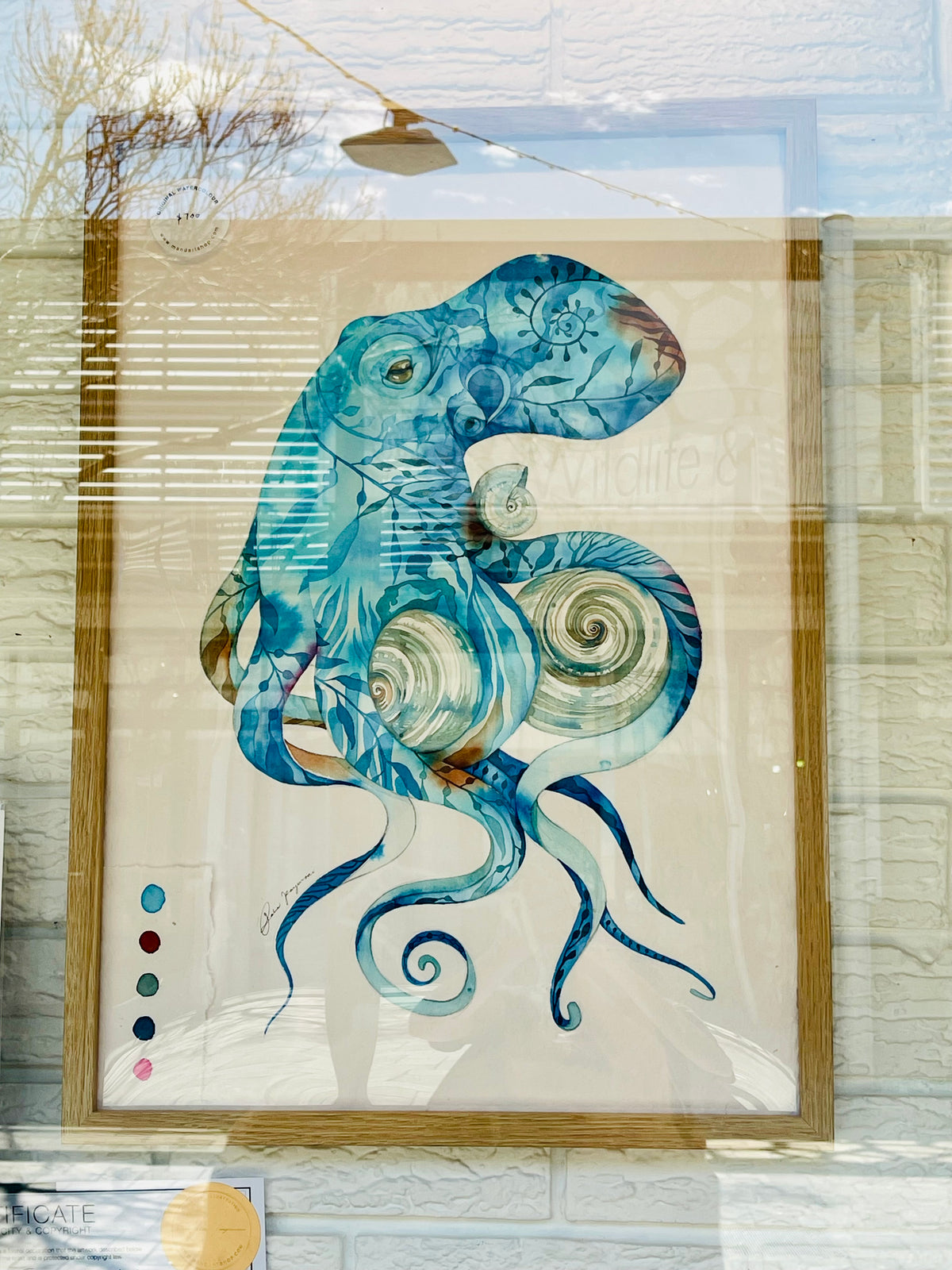 Tidepool tango original illustration