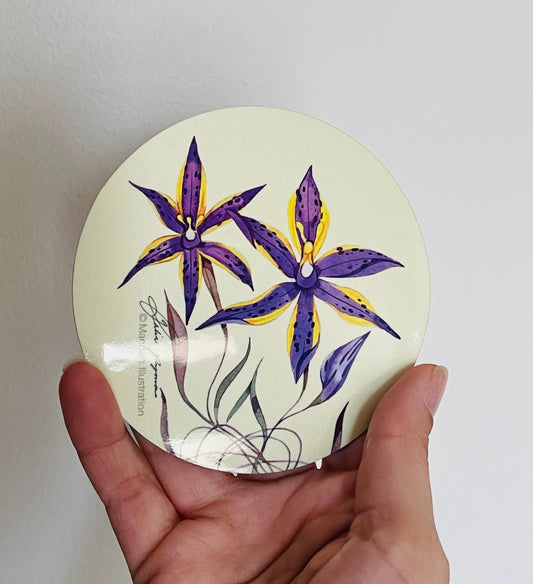 Fairy wren coasters