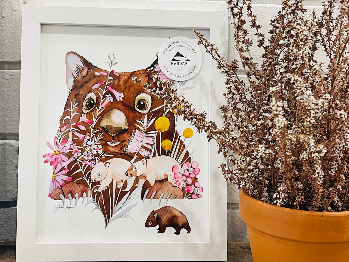 Wombat watercolour illustration