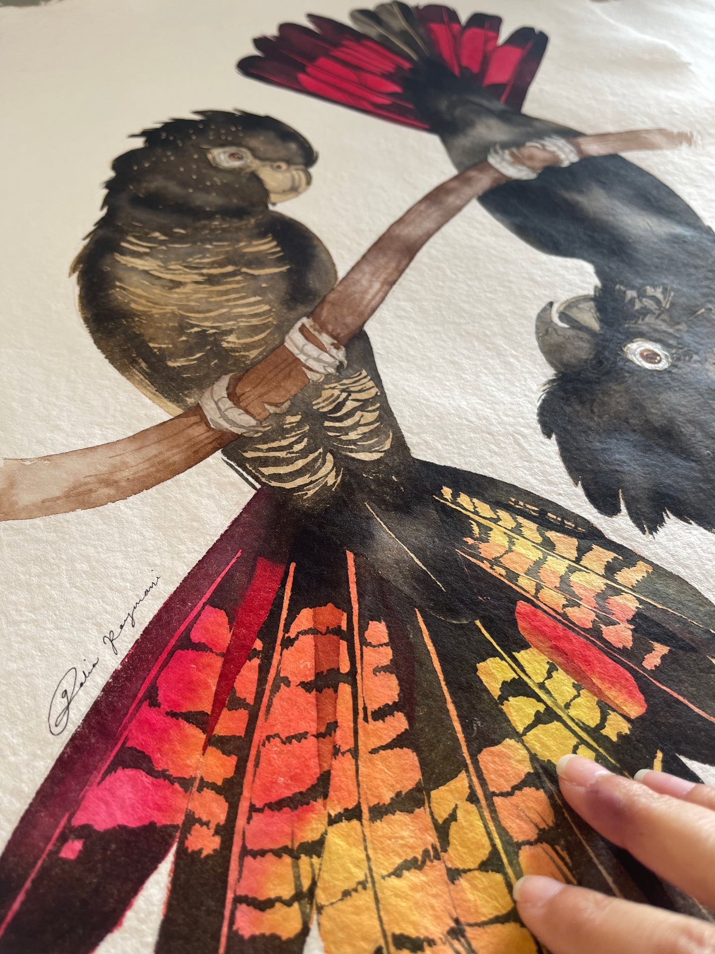 Peek a boo watercolour illustration