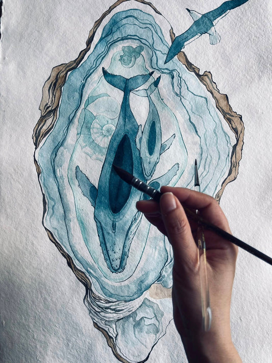 Celestial Shell watercolour illustration