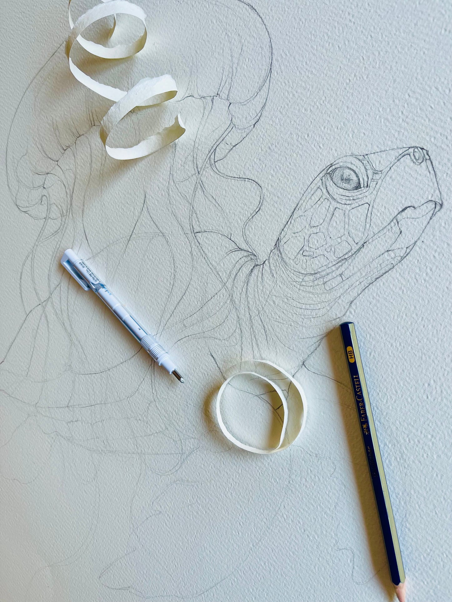 Sea turtle and jellyfish watercolour illustration