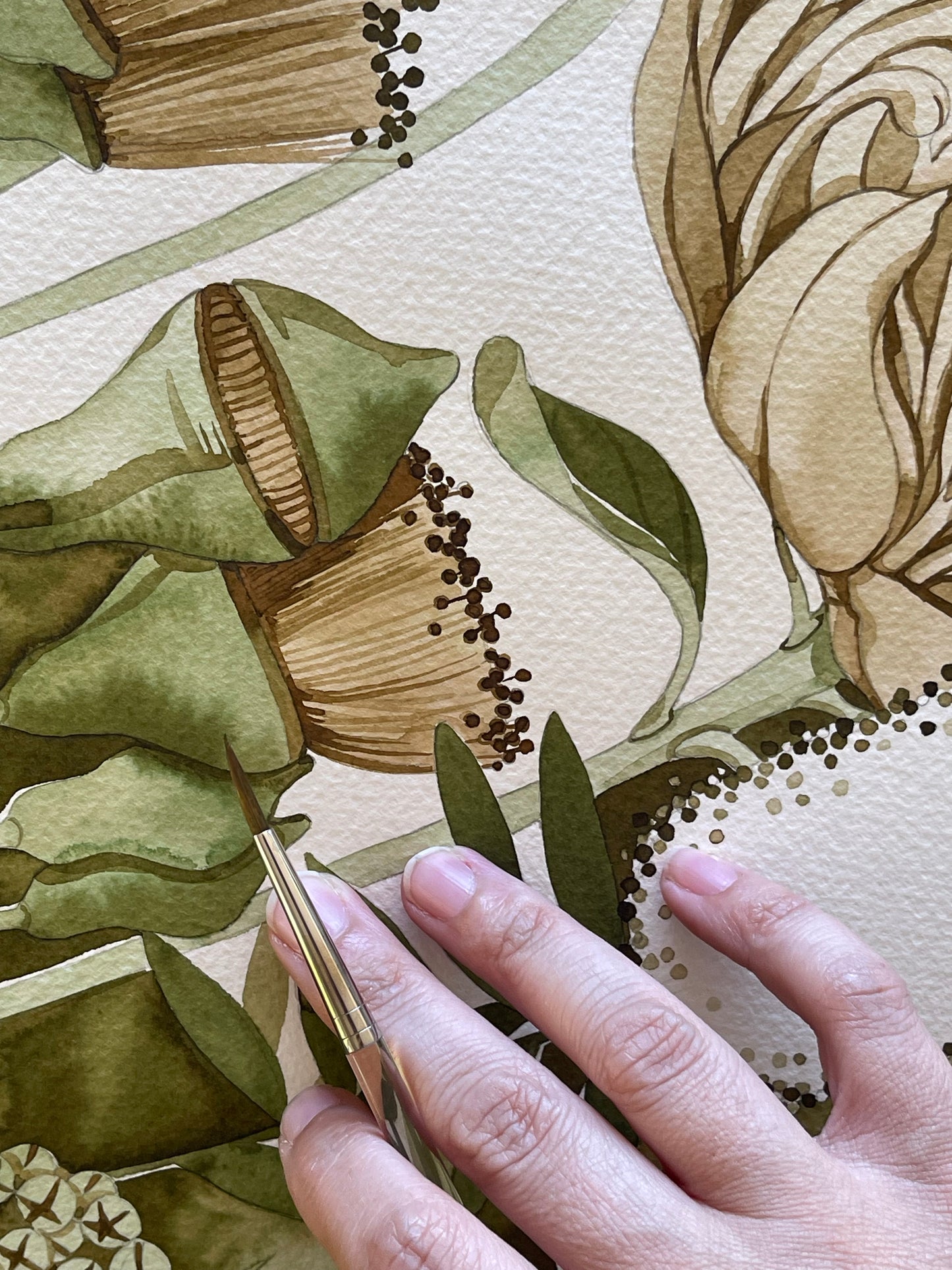 Aussie Botanical original watercolour illustration