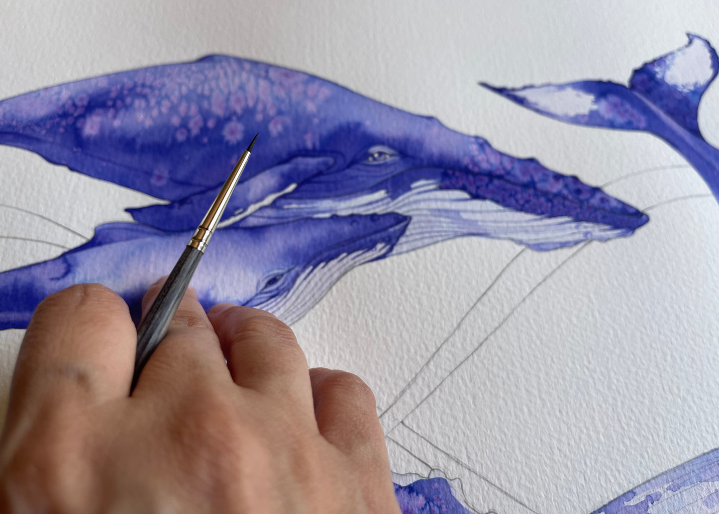 Infinity Whales watercolour illustration