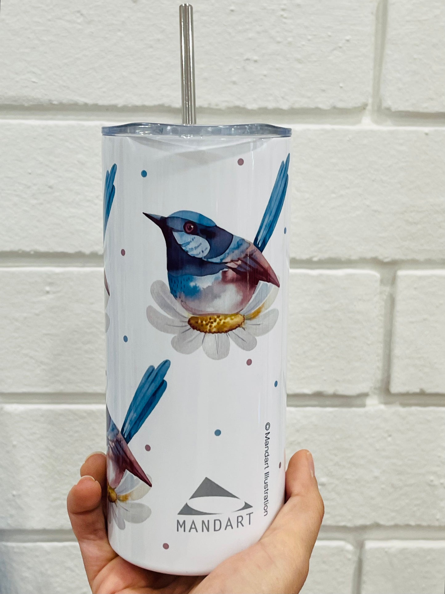 Mandart Stainless Steel Skinny Tumblers