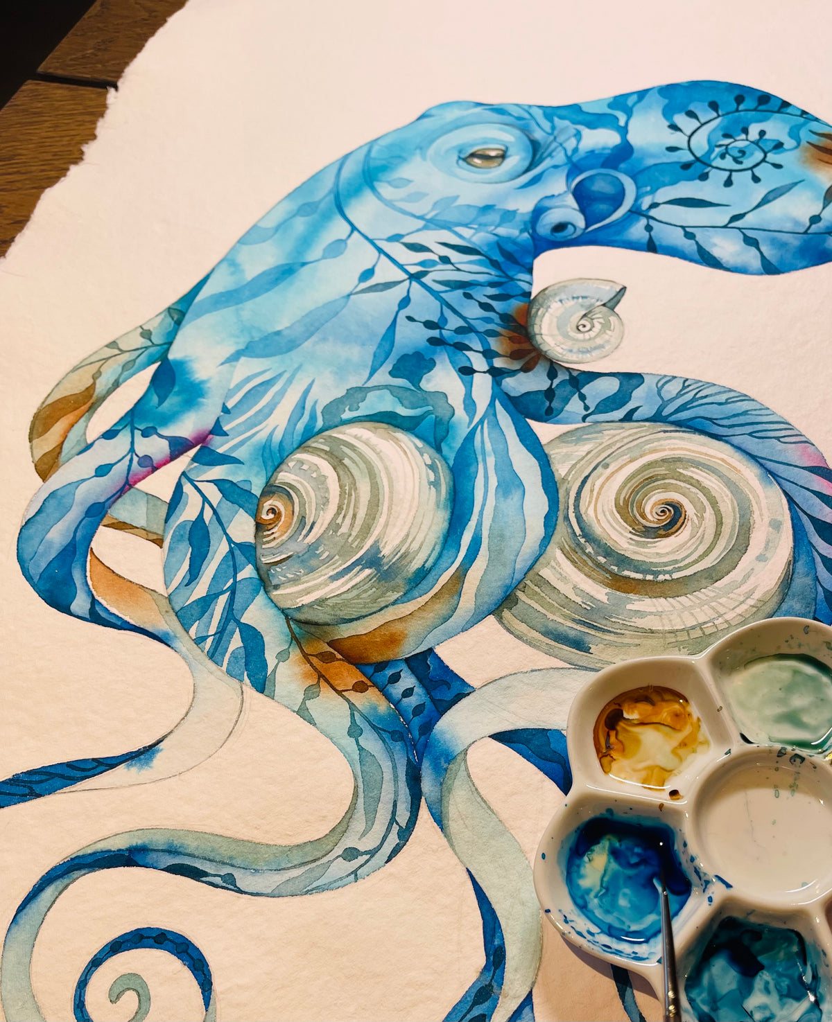 Tidepool tango original illustration