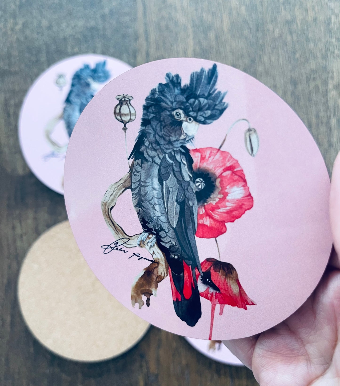 Red tail black cockatoo coasters