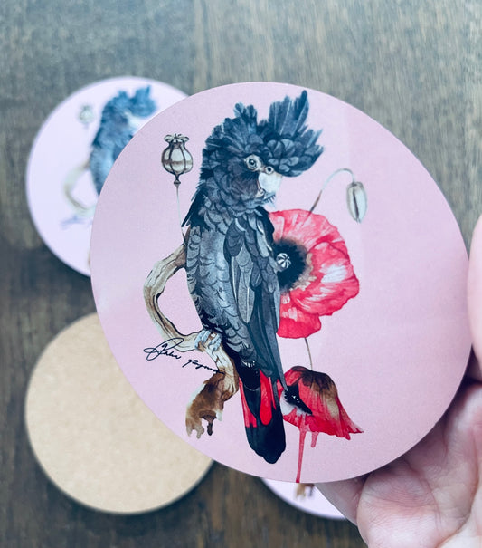 Red tail black cockatoo coasters