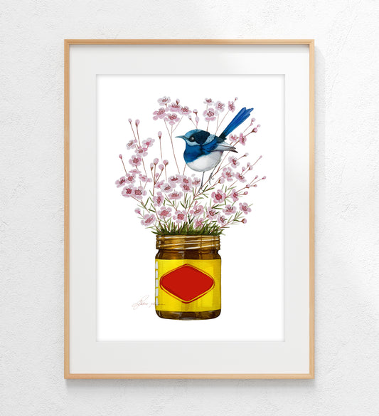 Geraldton wax and blue wren watercolour print
