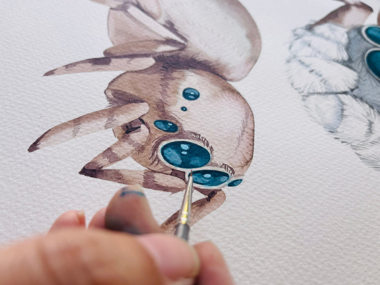 Peacock Spider original watercolour illustration