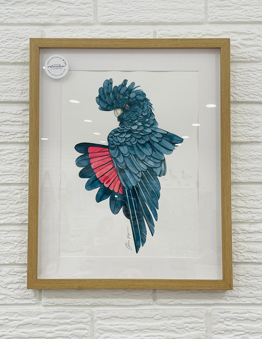 Velvet hush original watercolour illustration