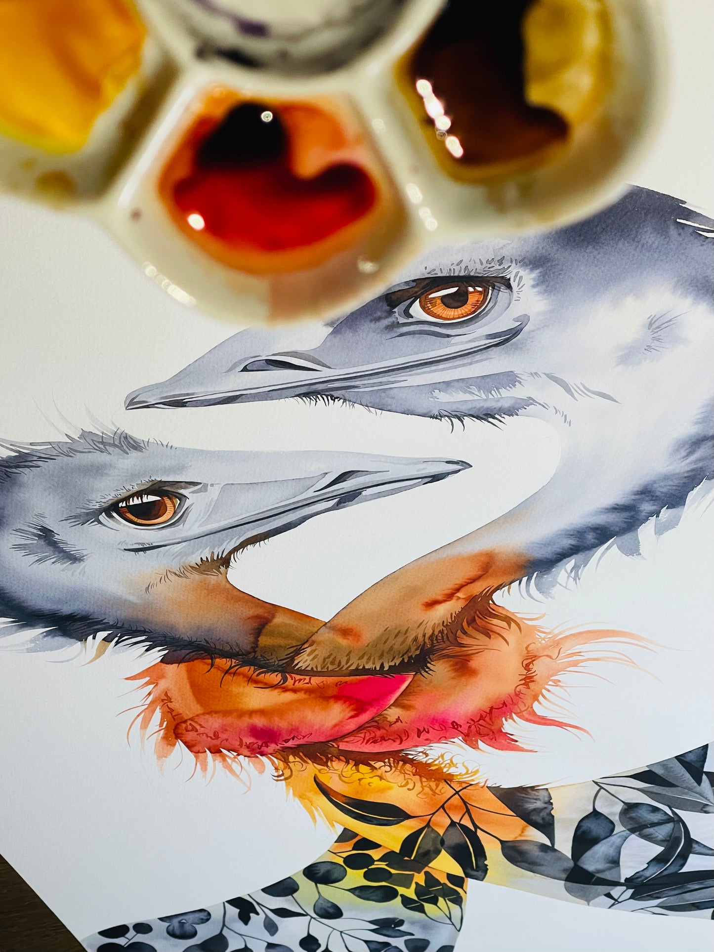 Tie the knot emus watercolour illustration