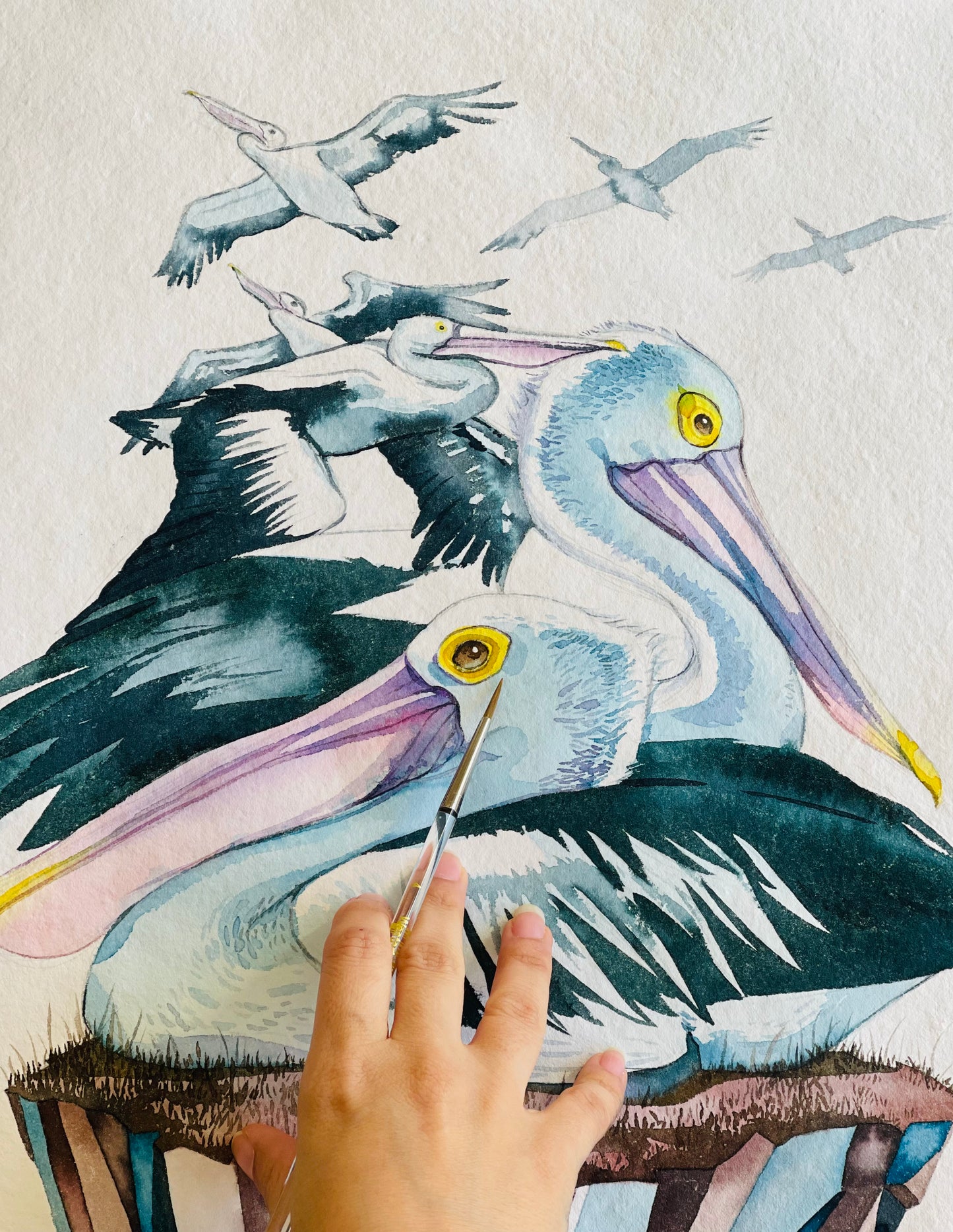 Pelicans island original illustration