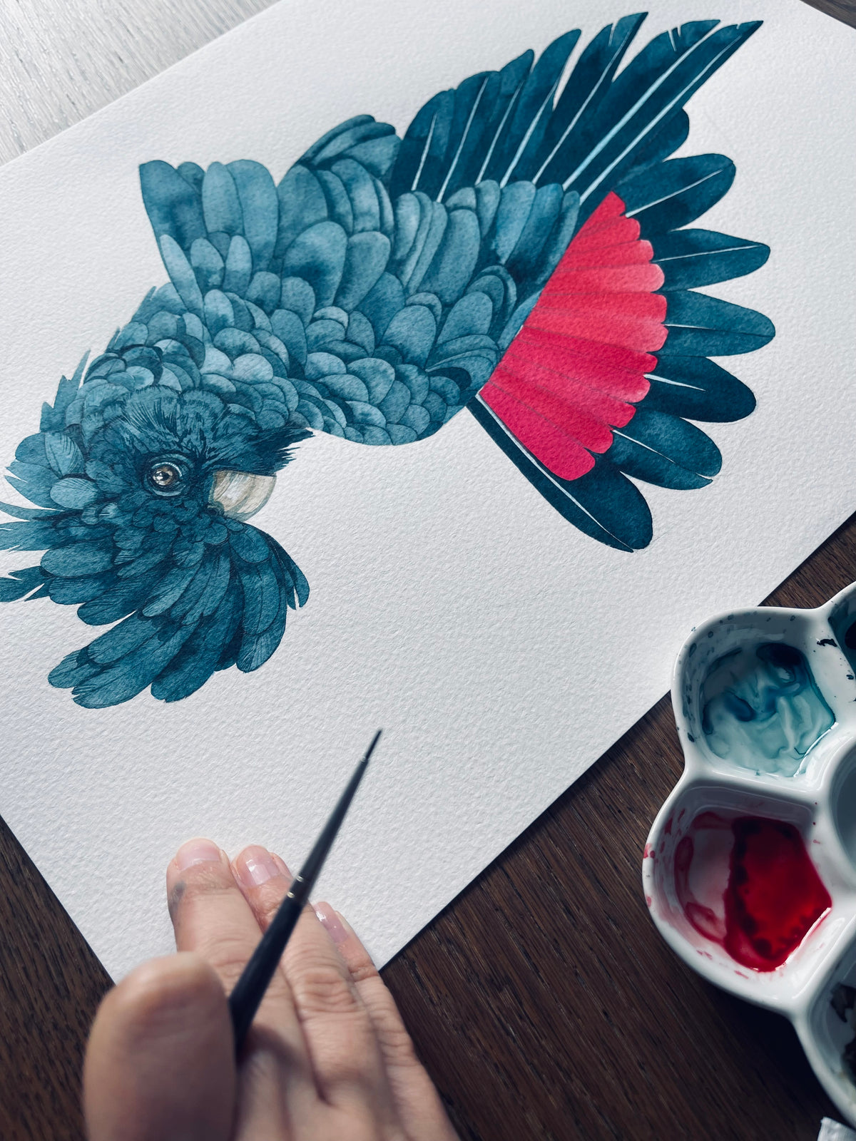 Velvet hush original watercolour illustration