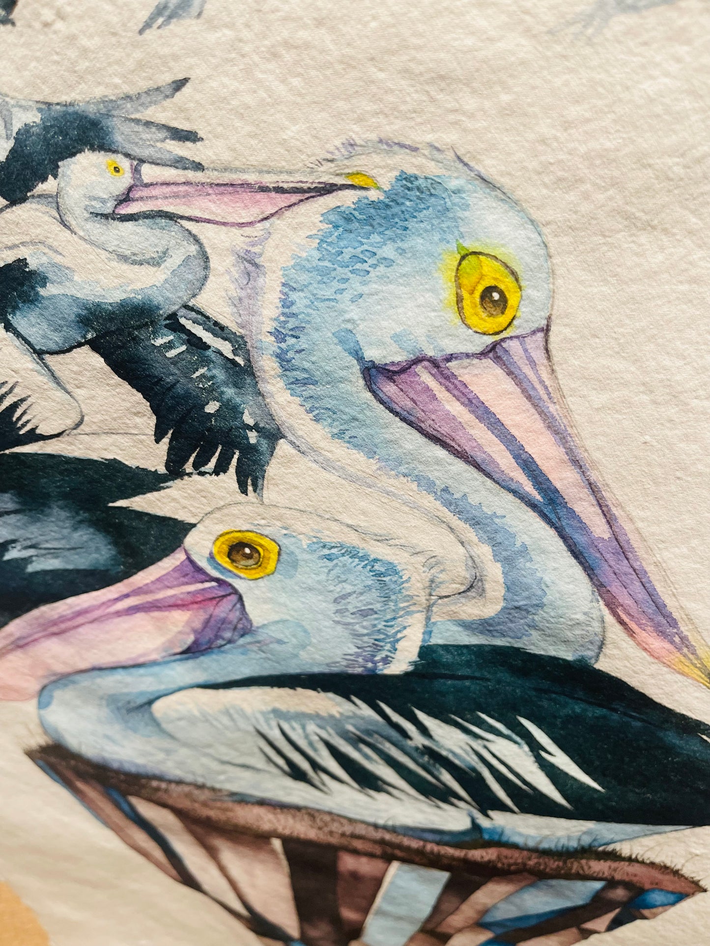 Pelicans island original illustration