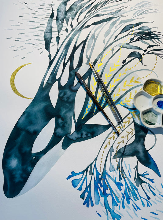 Orca original watercolour illustration