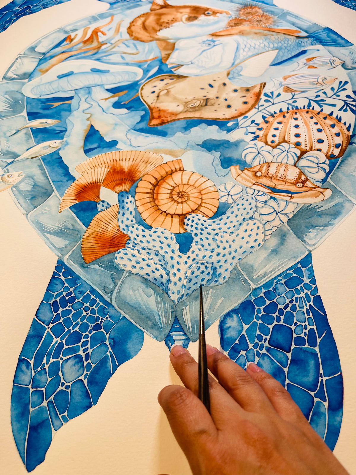 Every shell holds a story original illustration