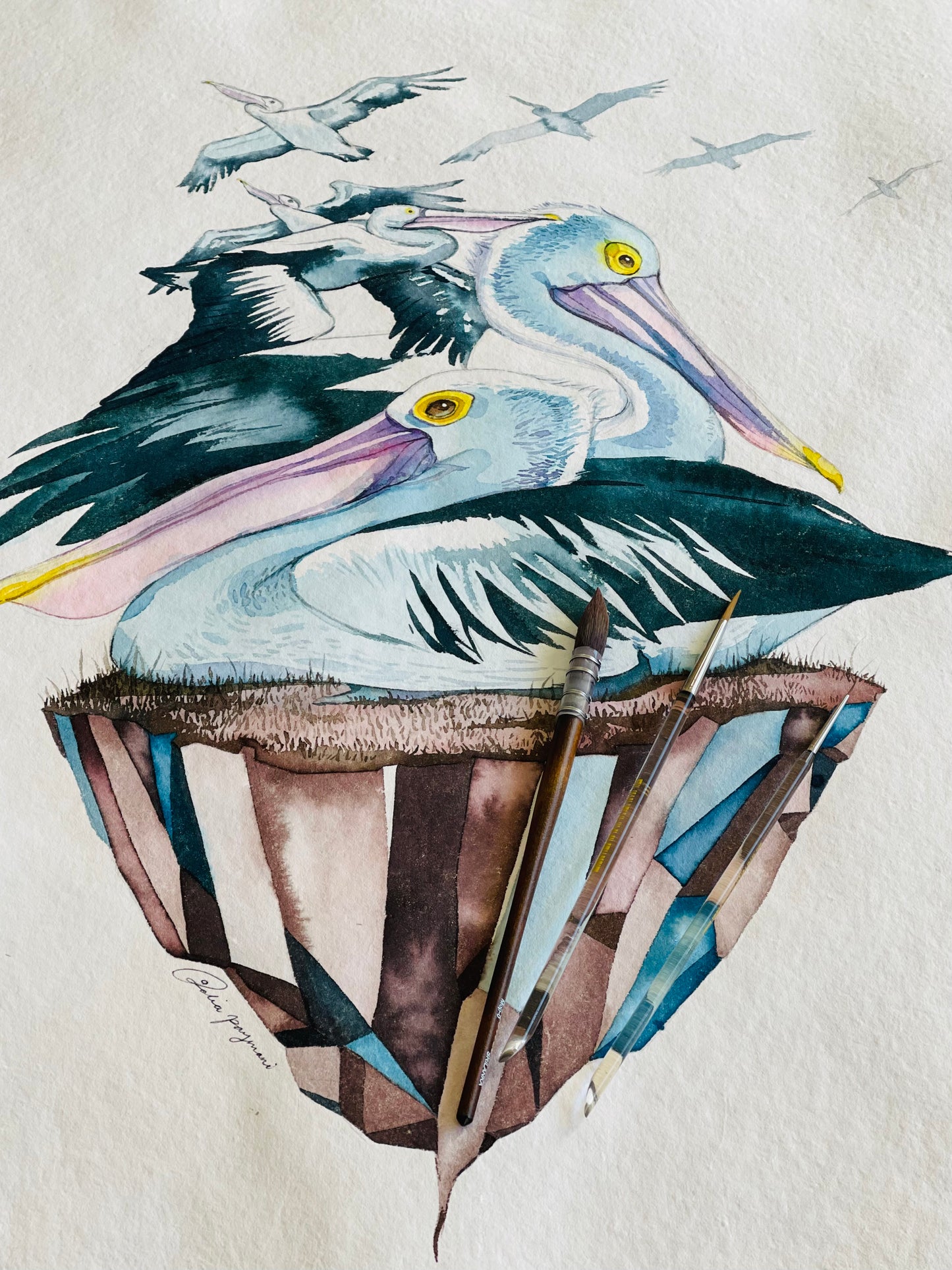 Pelicans island original illustration
