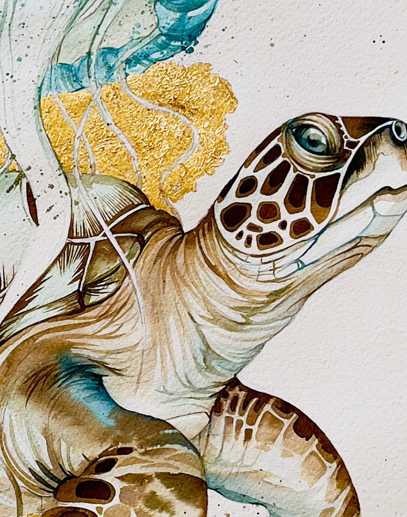 Sea turtle and jellyfish watercolour illustration