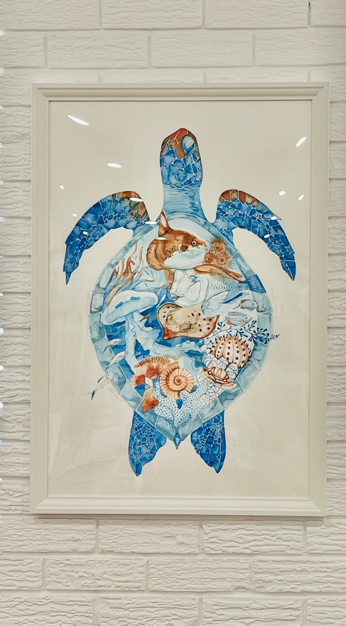 Every shell holds a story original illustration