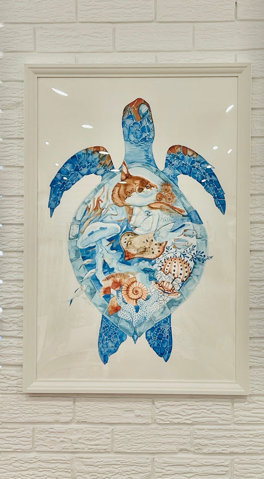 Every shell holds a story original illustration