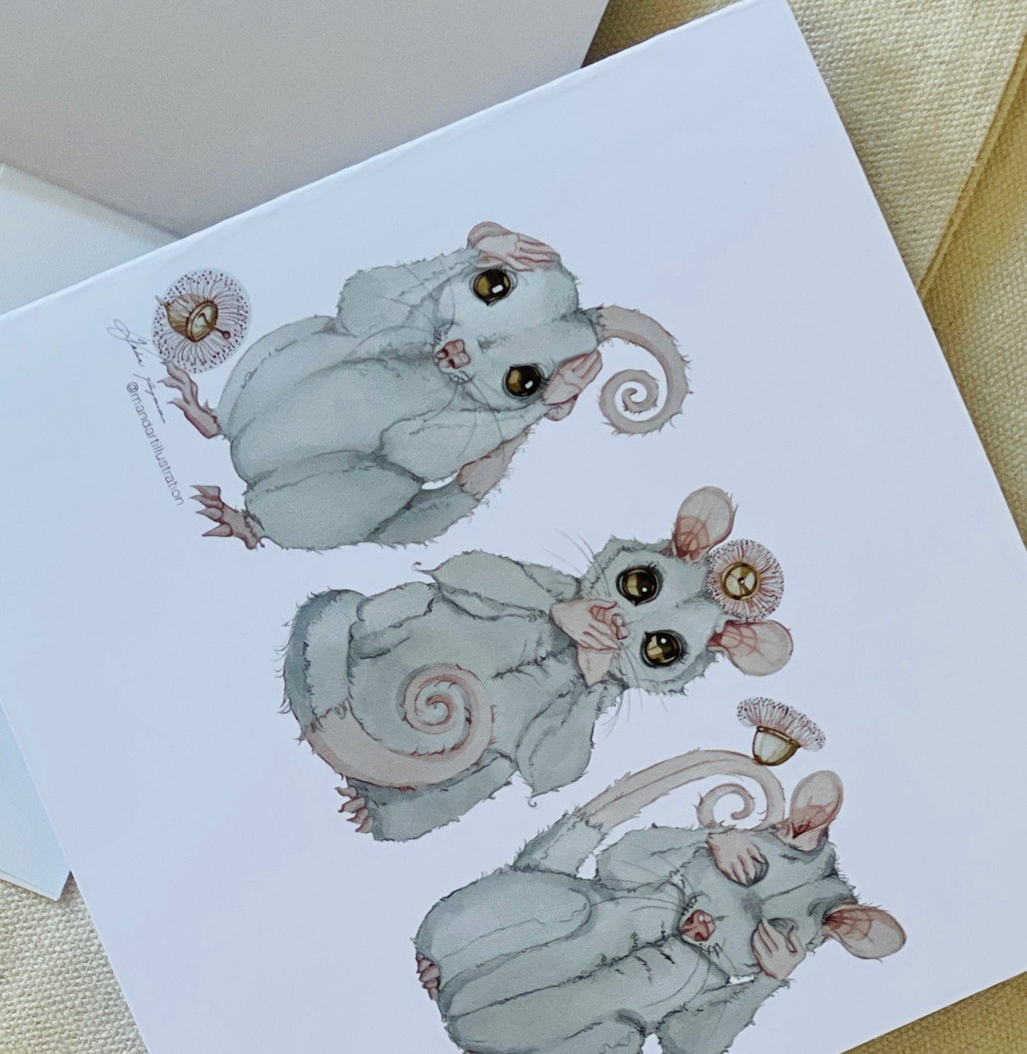 Three Wise possums card