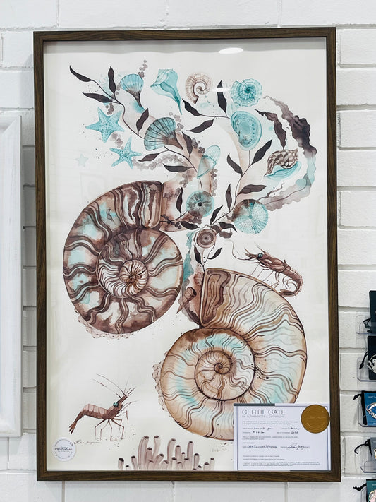 Ammonite pair watercolour illustration