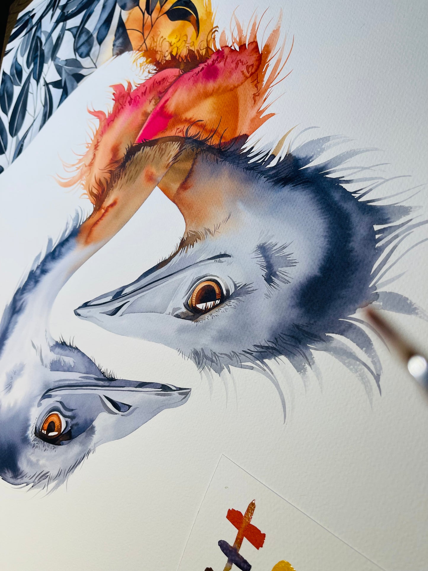 Tie the knot emus watercolour illustration