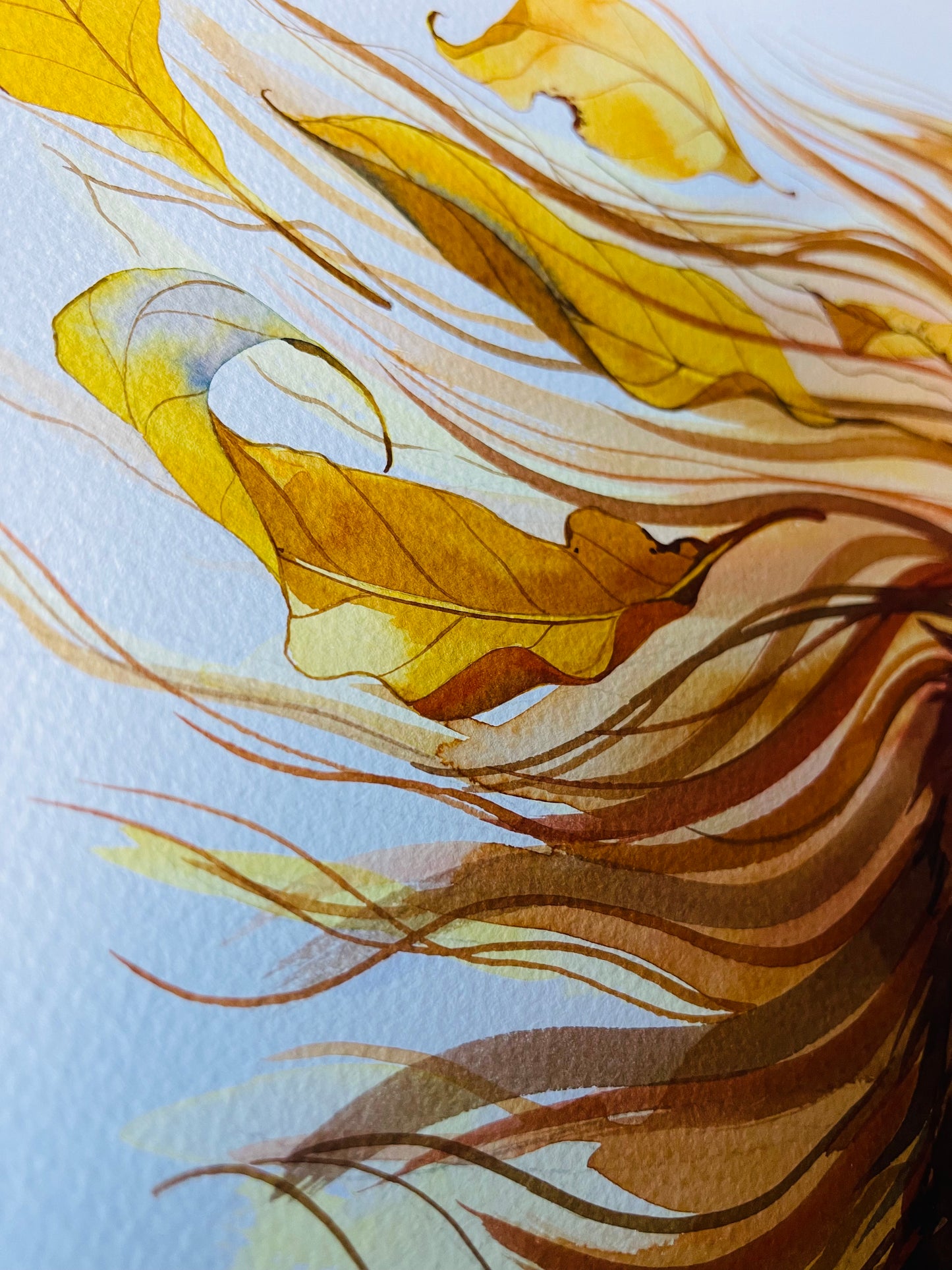Leo watercolour illustration