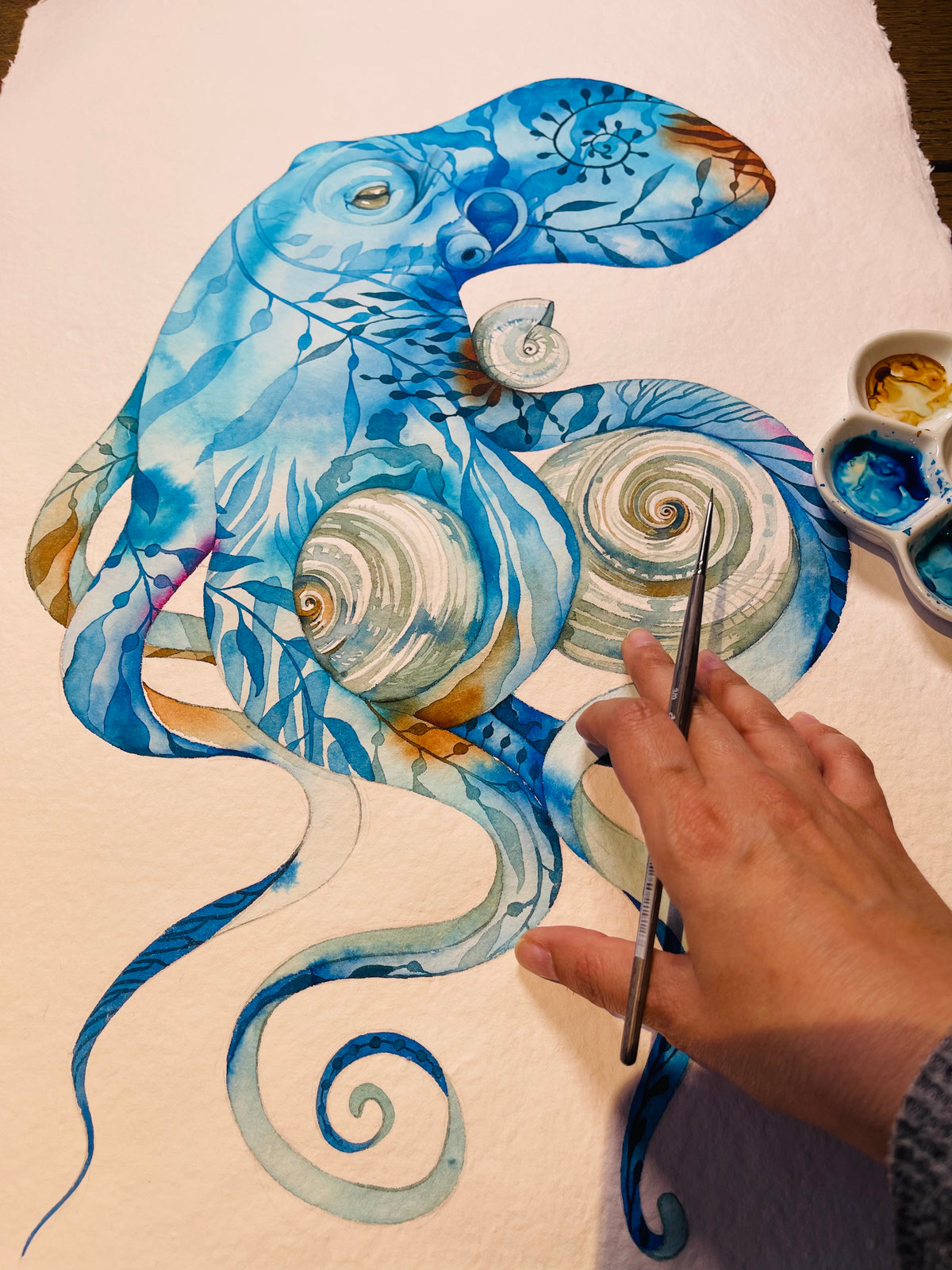 Tidepool tango original illustration