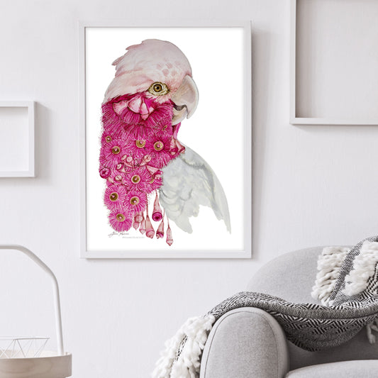 Galah watercolour print