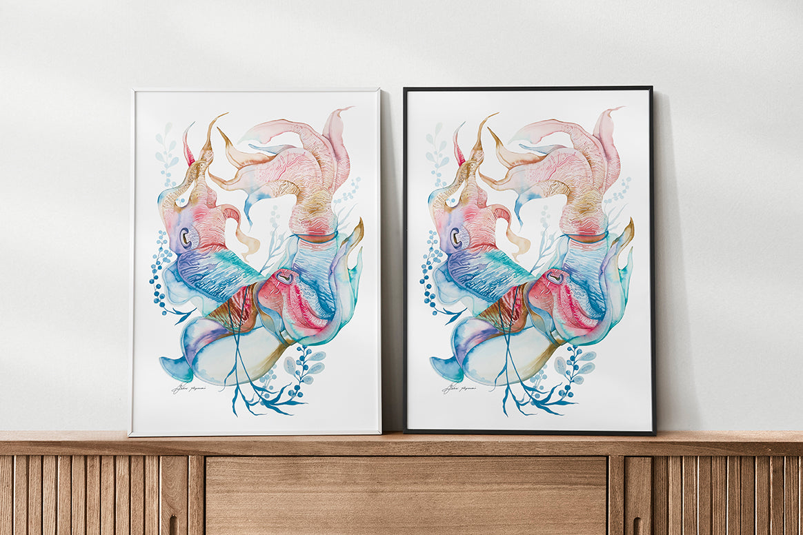Giant cuttlefish watercolour print