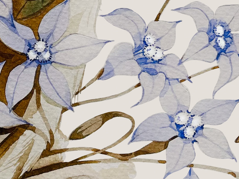 Kookaburra and blue bells watercolour print