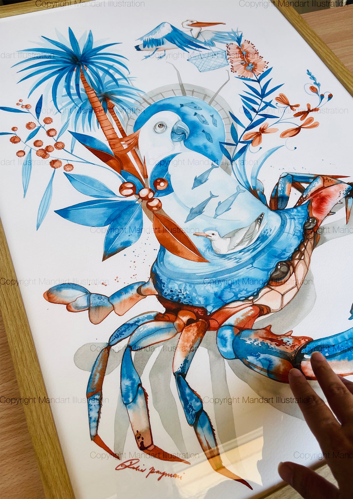 Mandurah blue manna watercolour illustration