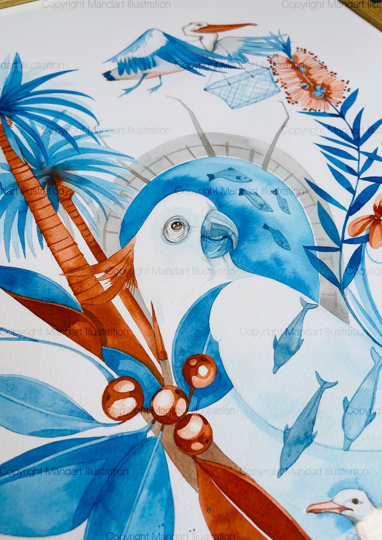 Mandurah blue manna watercolour illustration