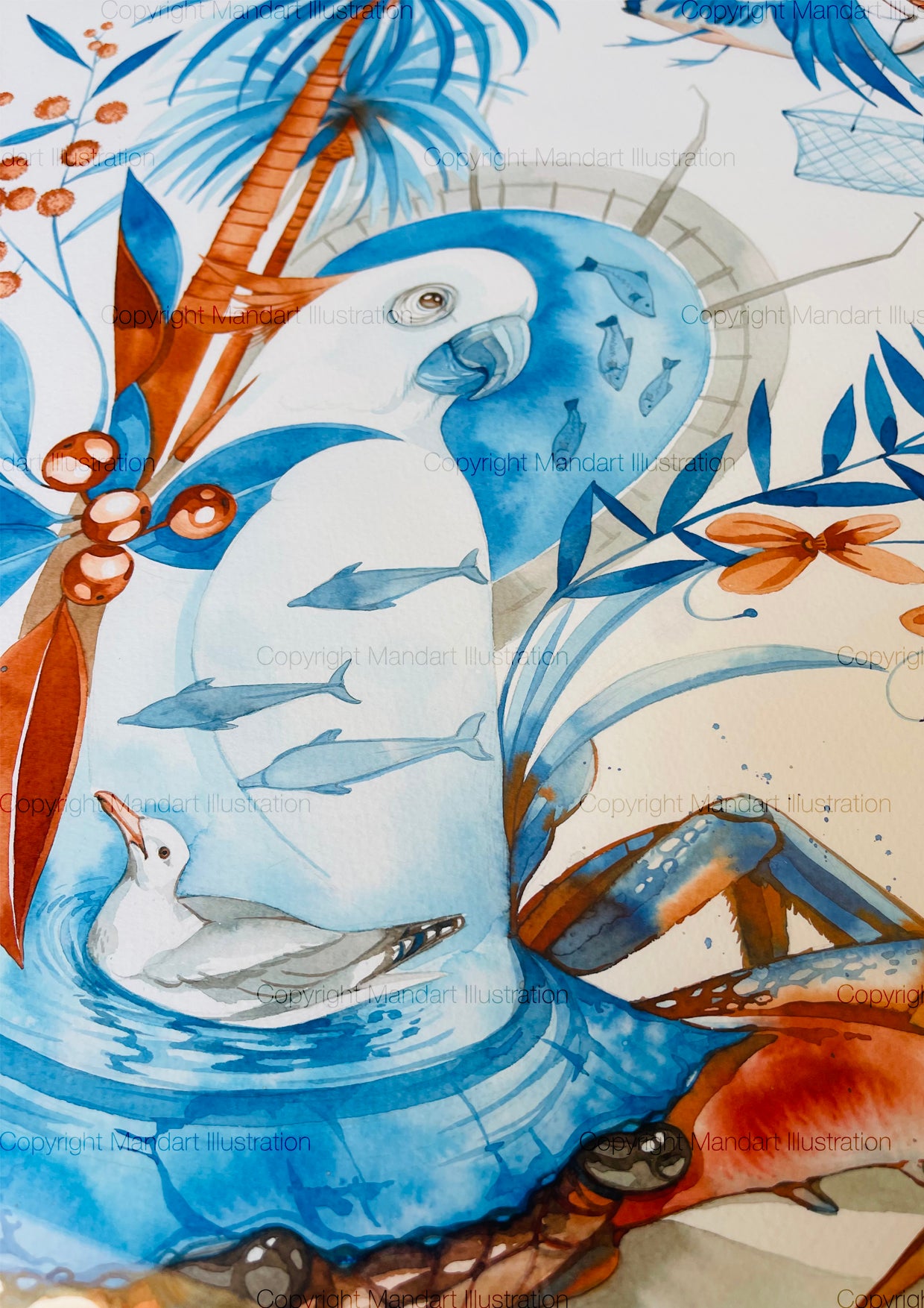 Mandurah blue manna watercolour illustration