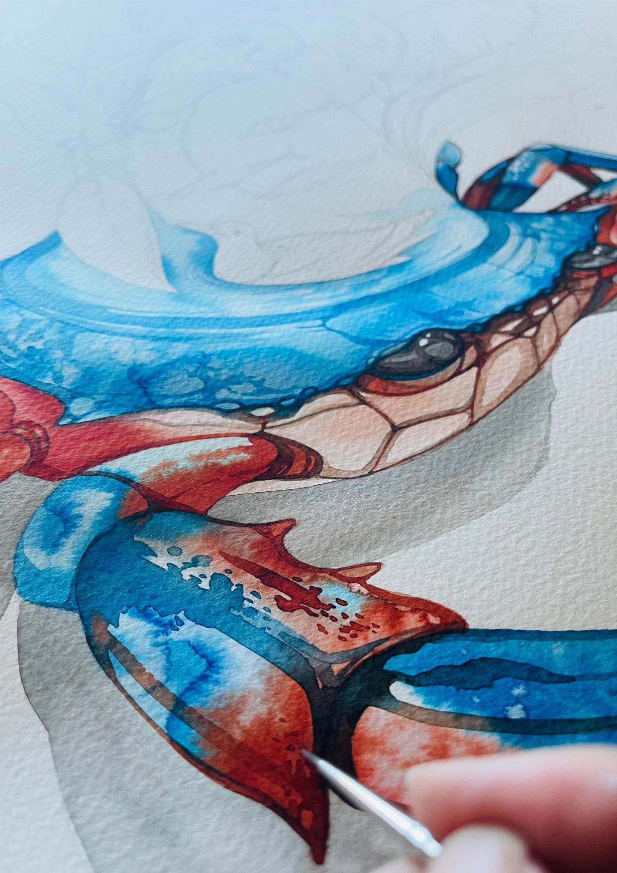 Mandurah blue manna watercolour illustration