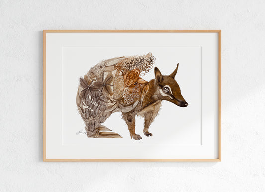 Nala the Numbat watercolour print