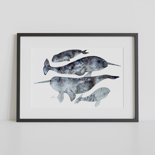 Narwal family watercolour print