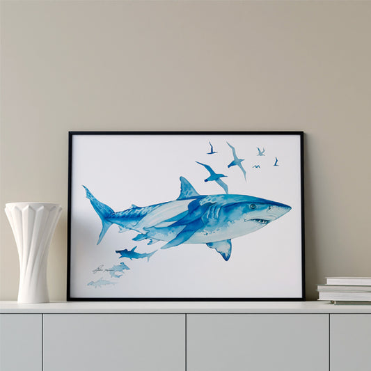 Tiger Shark original watercolour print