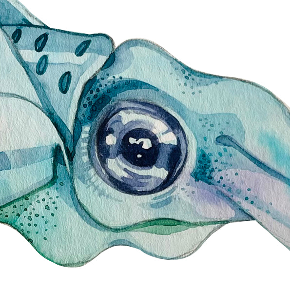 Baby squids watercolour print