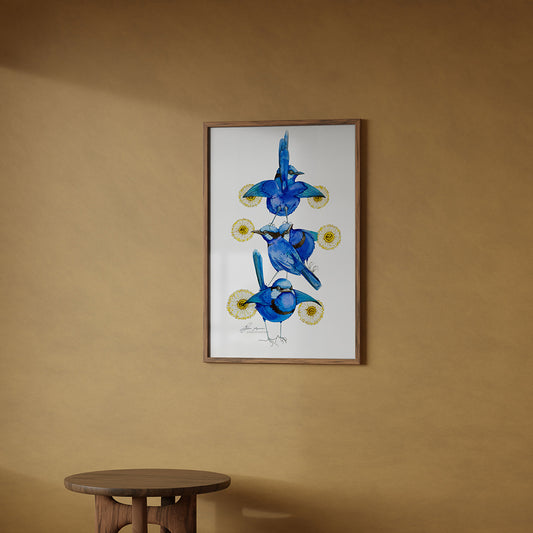 Superb fairywrens watercolour prints